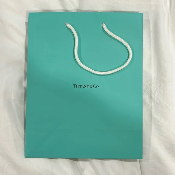 Tiffany & Co Shopping Bag - Picture 1 of 3